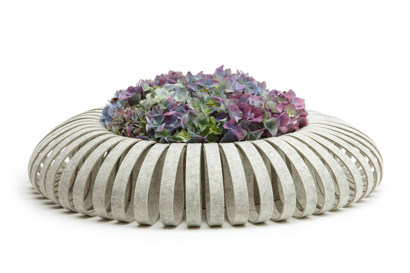 HEY-SIGN Schale Wondering